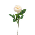 Róża 60cm kremowa - 1