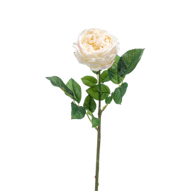 Róża 60cm kremowa
