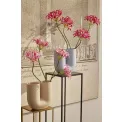 Nerine 75cm - 2