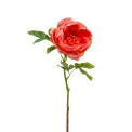 Peony 63cm coral - 1
