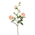 Róża 90cm brzoskwiniowa - 1