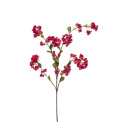 Flowering cherry 120cm Fuchsia - 1