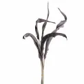 Set of 5 leaves Strelitzia 80cm taupe - 1