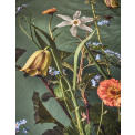 Pościel Ficaria 260x220cm z 2 poszewkami na poduszki 60x70cm  zielony - 3