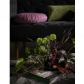 cushion Naina 40cm lily - 2