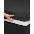 sheet Premium Percale 80x200cm anthracite - 2