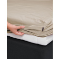 sheet Premium Percale 80x200cm cement - 2