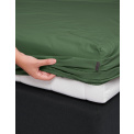 sheet Premium Percale 90x200cm green - 2