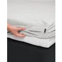 sheet Premium Percale 90x220cm grey - 3
