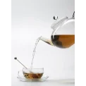 Kettle with Infuser Miko 1.2L - 4
