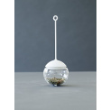 Infuser Infusion Globe transparent - 2