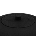 Cast iron teapot Saga 800ml black - 9