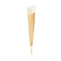 Pompas grass 70-75cm 6 pieces - 1