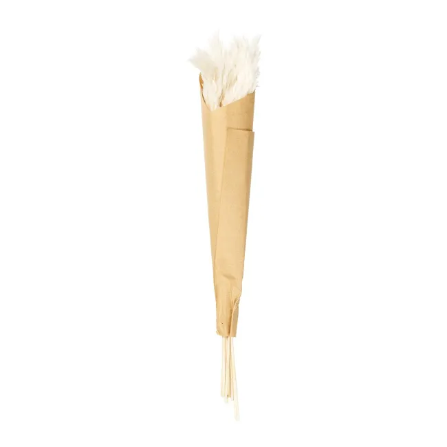 Trawa pompasowa 70-75cm 6 sztuk