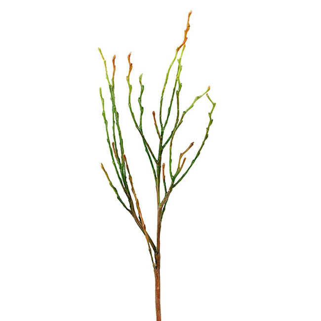 Branch 35cm Brown-Green - 1