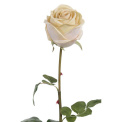 Rose Stem 75cm Cream - 1