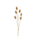 Dried Flower Stem 70cm Brown - 1