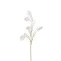 Gałązka Lunaria 55cm biała - 1