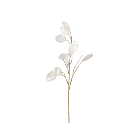 Gałązka Lunaria 55cm biała
