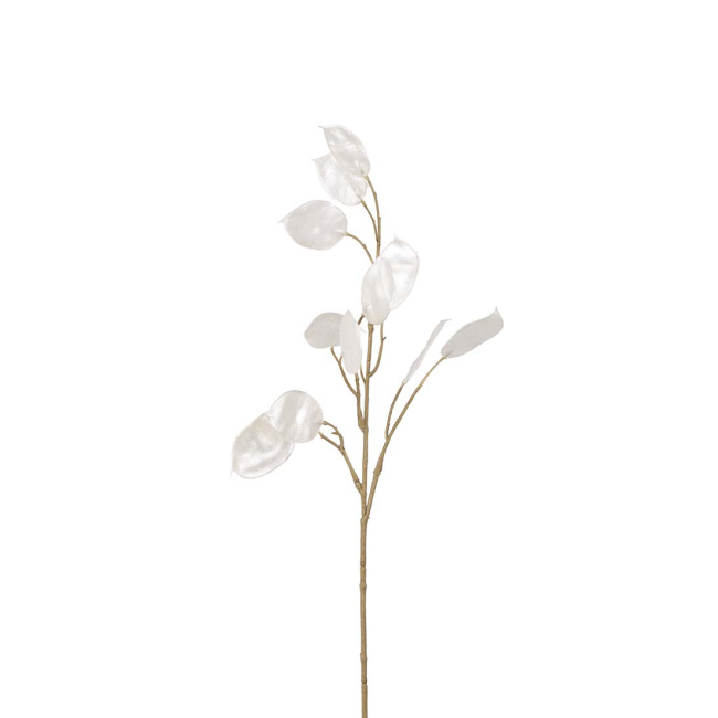 Lunaria Stem 55cm White