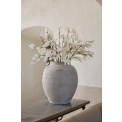 Lunaria Stem 55cm White - 2