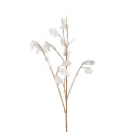 Lunaria Stem 90cm White - 1