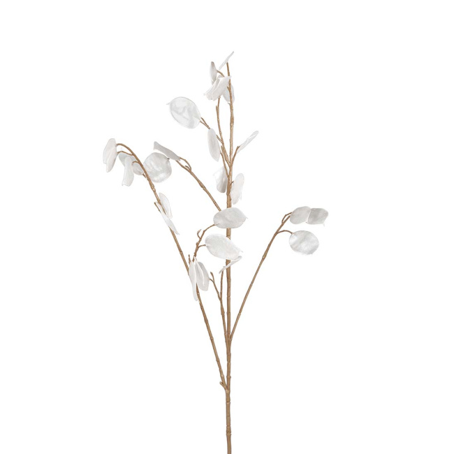 Lunaria Stem 90cm White - 1