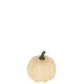 Decorative Pumpkin 10cm Cream - 1