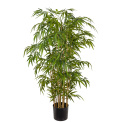 Bamboo in Pot 150cm - 1