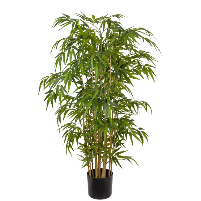 Bamboo in Pot 150cm