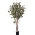 Olive Tree 190cm - 1