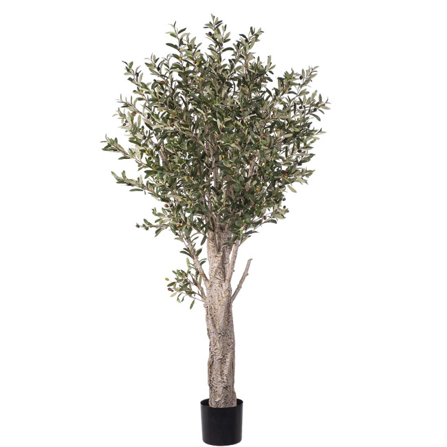 Olive Tree 190cm - 1