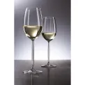 Diva Glass 302ml for White Wine - 3