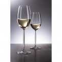 Diva Glass 302ml for White Wine - 2