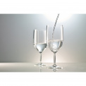 Diva Glass 450ml for Water - 2