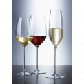 Fortissimo Glass 505ml for Red Wine/Water - 3