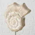 Dekoracja muszla na nodze 25cm - 3