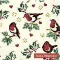 Napkins 25x25cm Little Robin - 1