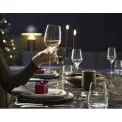 Set of 6 Easy Plus Glasses 390ml for White Wine - 3