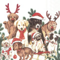 Napkins 33x33cm Dog-Mas - 1