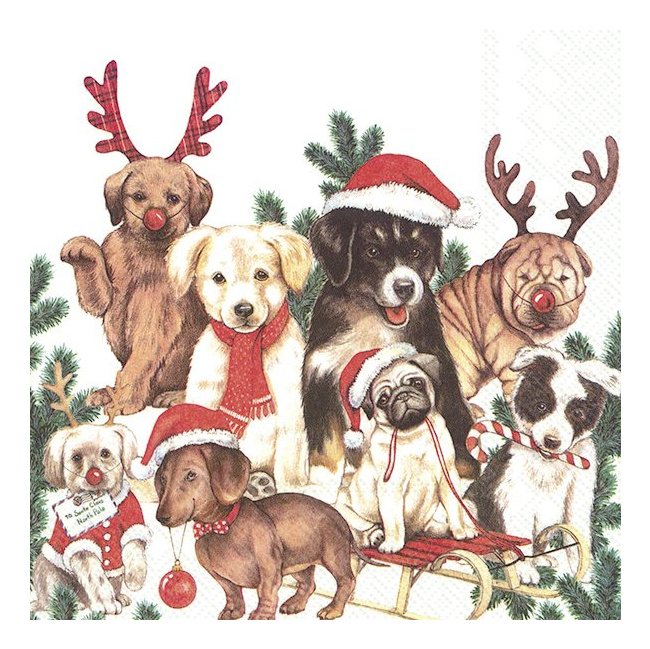 Napkins 33x33cm Dog-Mas