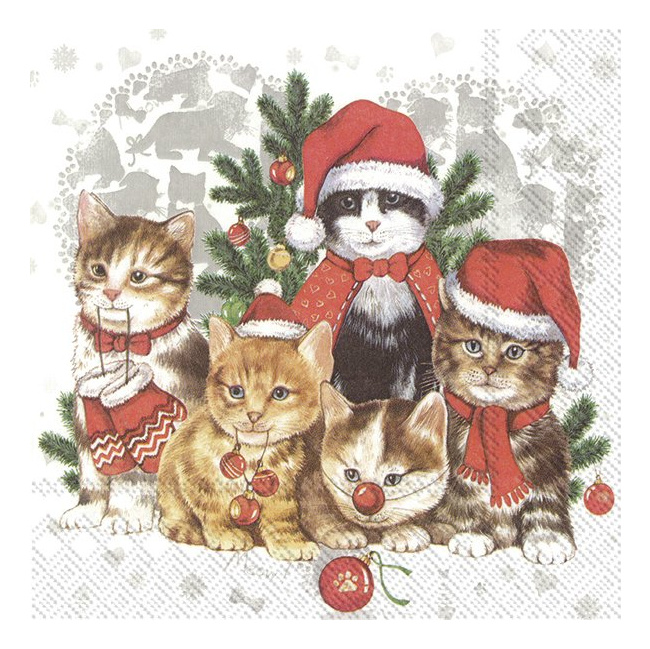 Napkins 33x33cm Cat-Mas