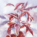 Napkins 33x33cm Frosty Branch - 1