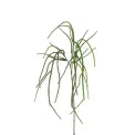 Fir branch 85cm - 1