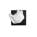 Figurka Afrodyta 51,15,5cm - 3