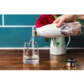 Tipperleyhill 500ml guinea pig thermal bottle - 11