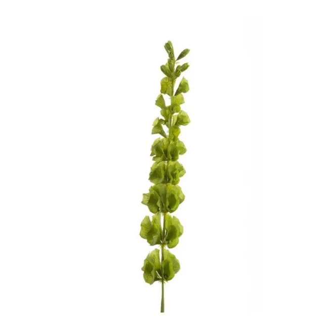 Sztuczna gałązka Dzwonki Ilandzkie 80cm zielone