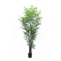 Bamboo Tree 240cm