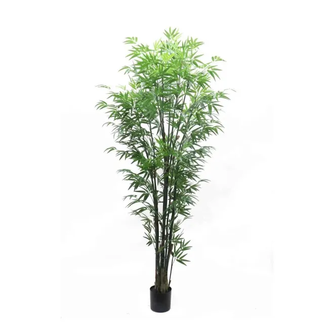 Bamboo Tree 240cm