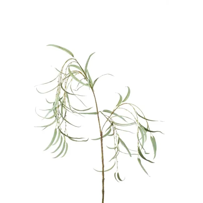 Gałązka wierzba z liśćmi 110cm